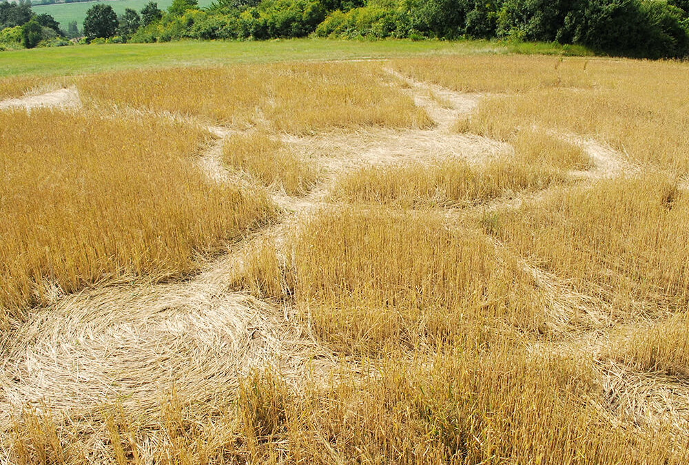 Crop Circle Conspiracies