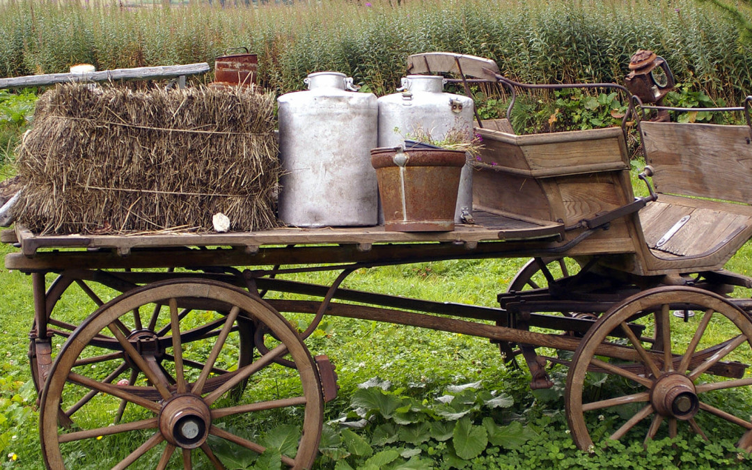 Farm junk is trending