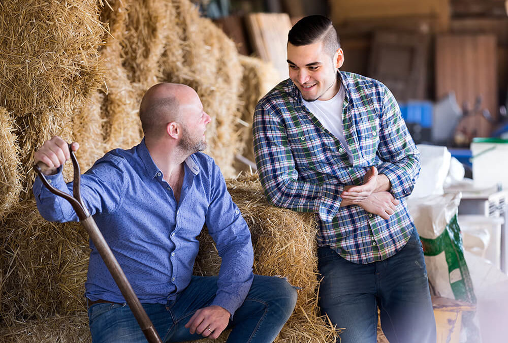 Farm-Bred Phrases in Contemporary American Vocabulary