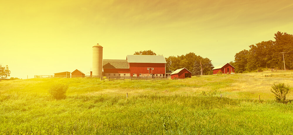 Farm-Bred Phrases