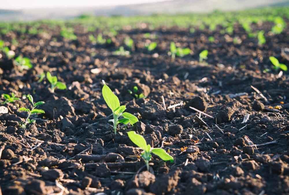 Farmers protect margins from agriculture slump