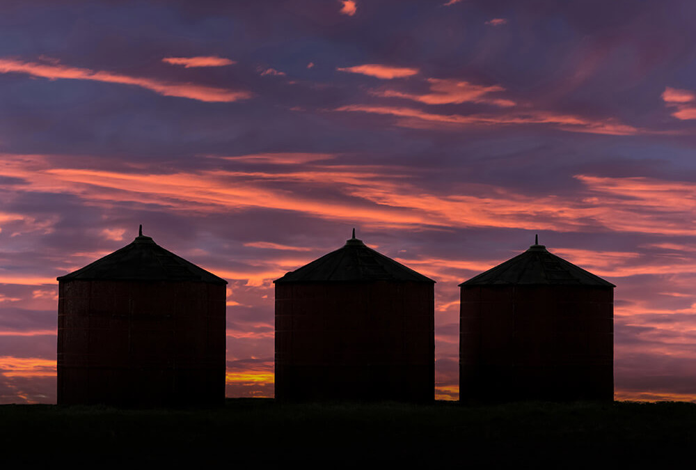 Grain Bin Safety