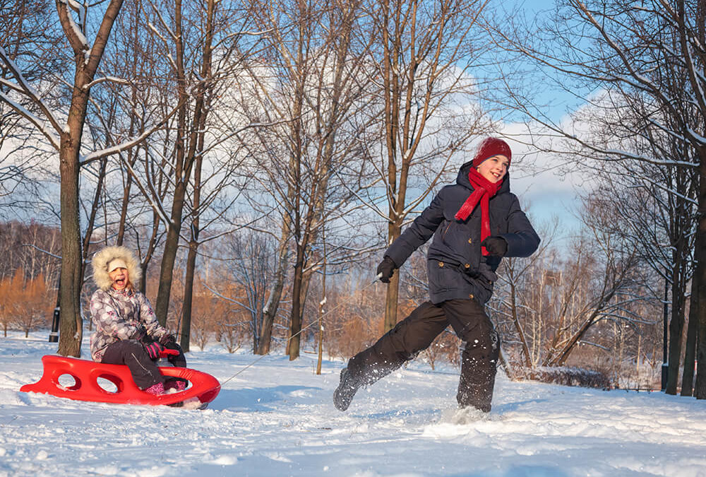 Types of sleds: Pros and Cons