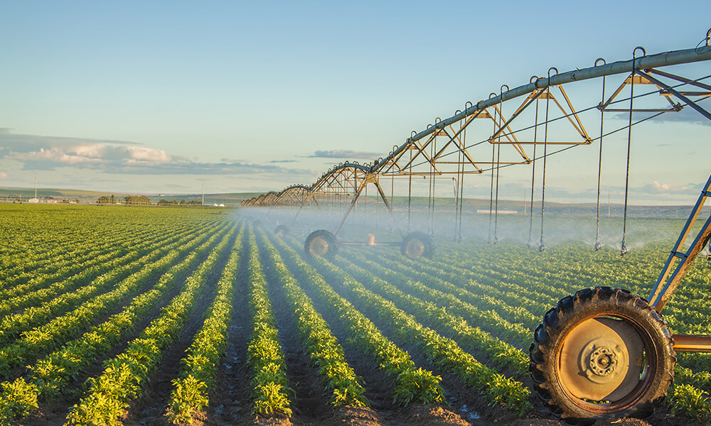 irrigation spraying crops