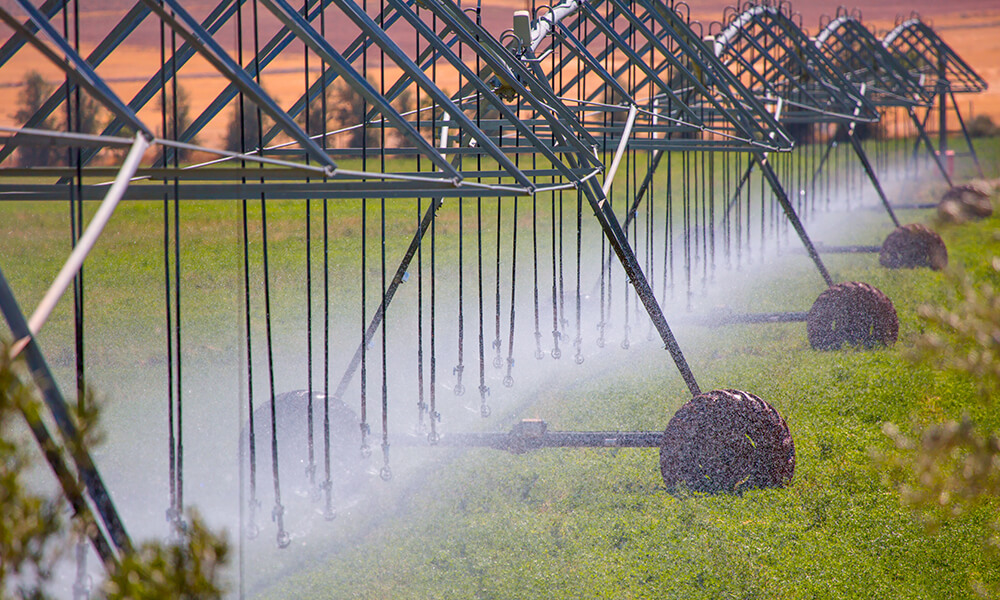 field pivots spraying water as the sun rises