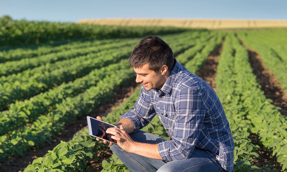 farmer kneeling in field working on tablet