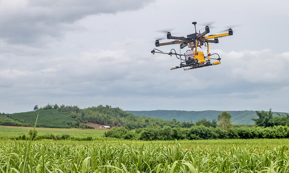 drone flying over field spraying crops